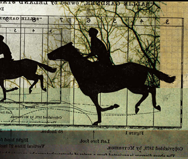 Visual Creativity | Promotional Materials | Art Direction 